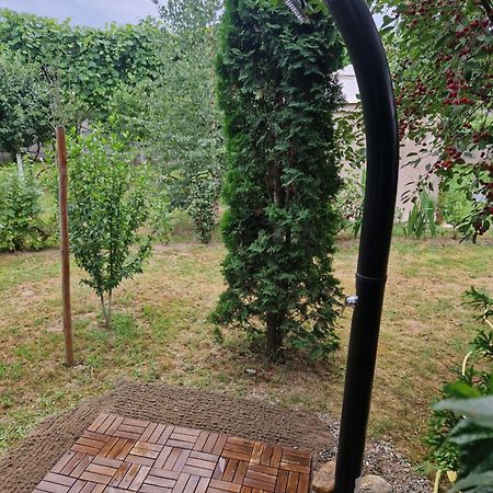 Casa Hariton Villa Dragus Exteriör bild