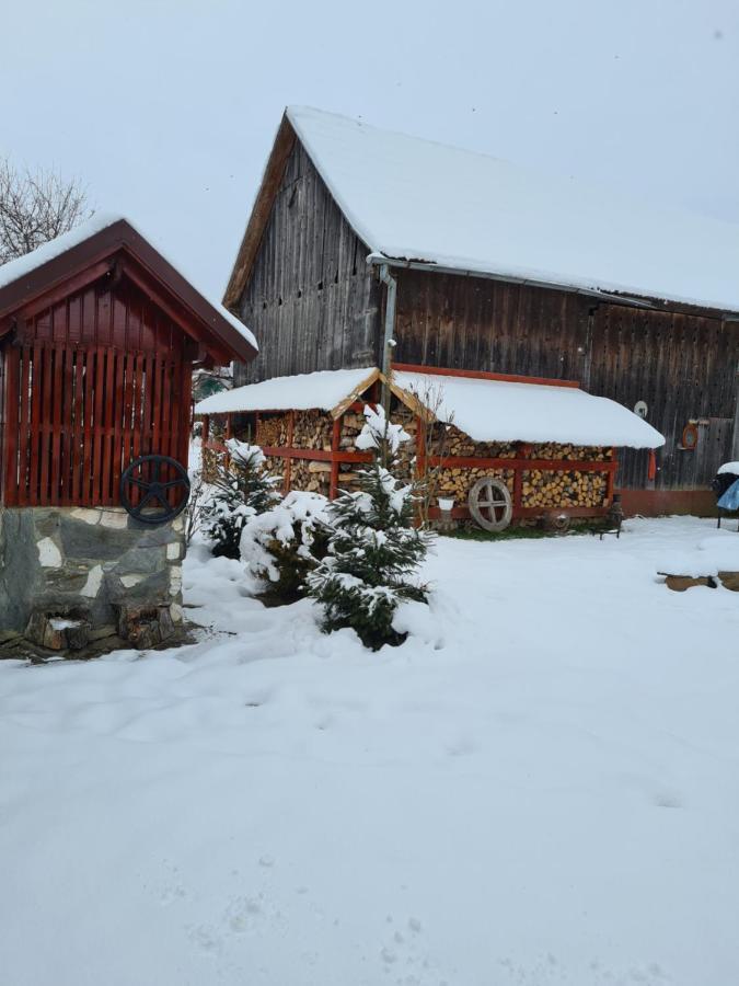 Casa Hariton Villa Dragus Exteriör bild