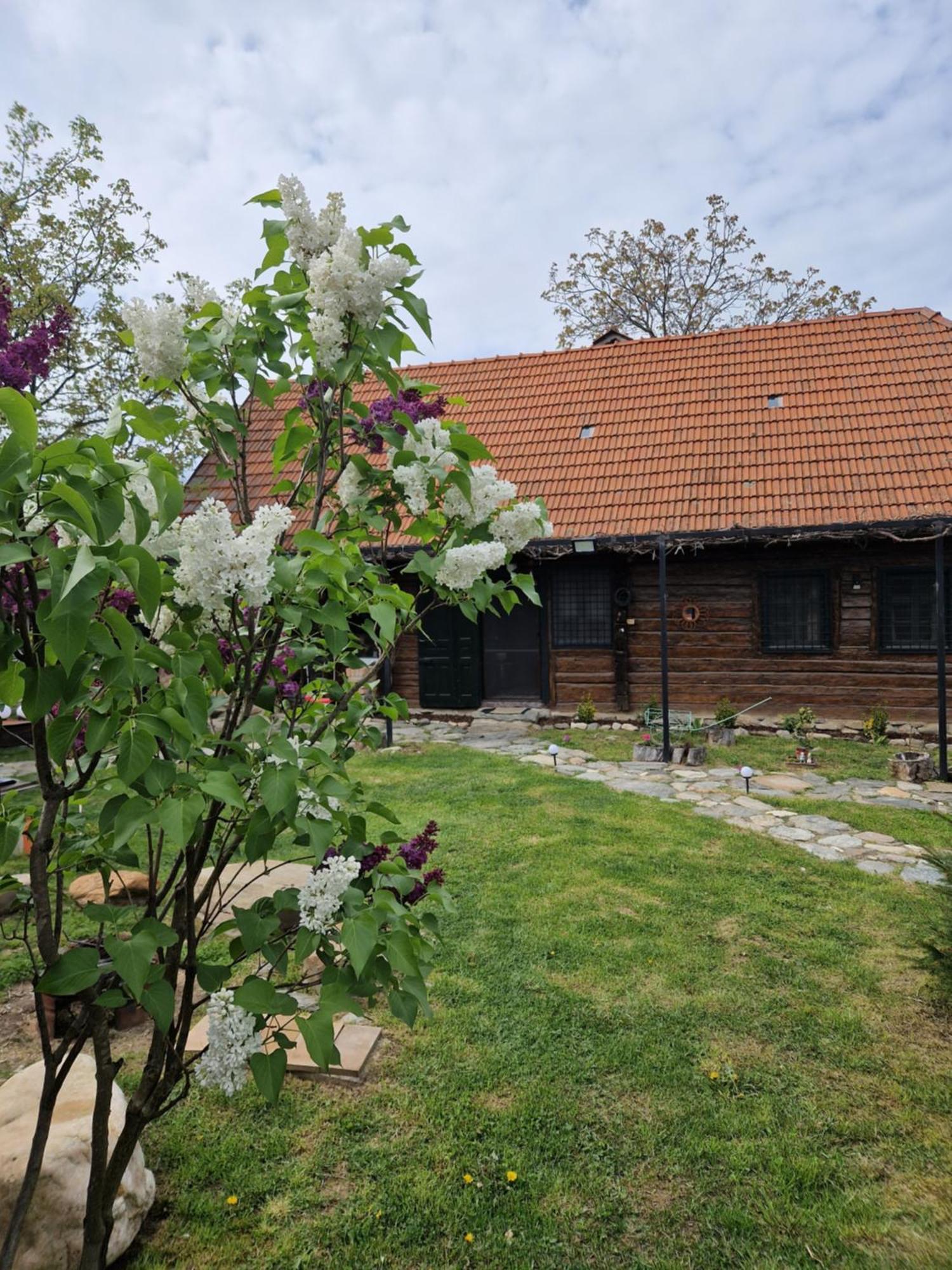 Casa Hariton Villa Dragus Exteriör bild
